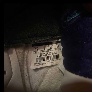 Classic Authentic Jordan 5 “Grape”